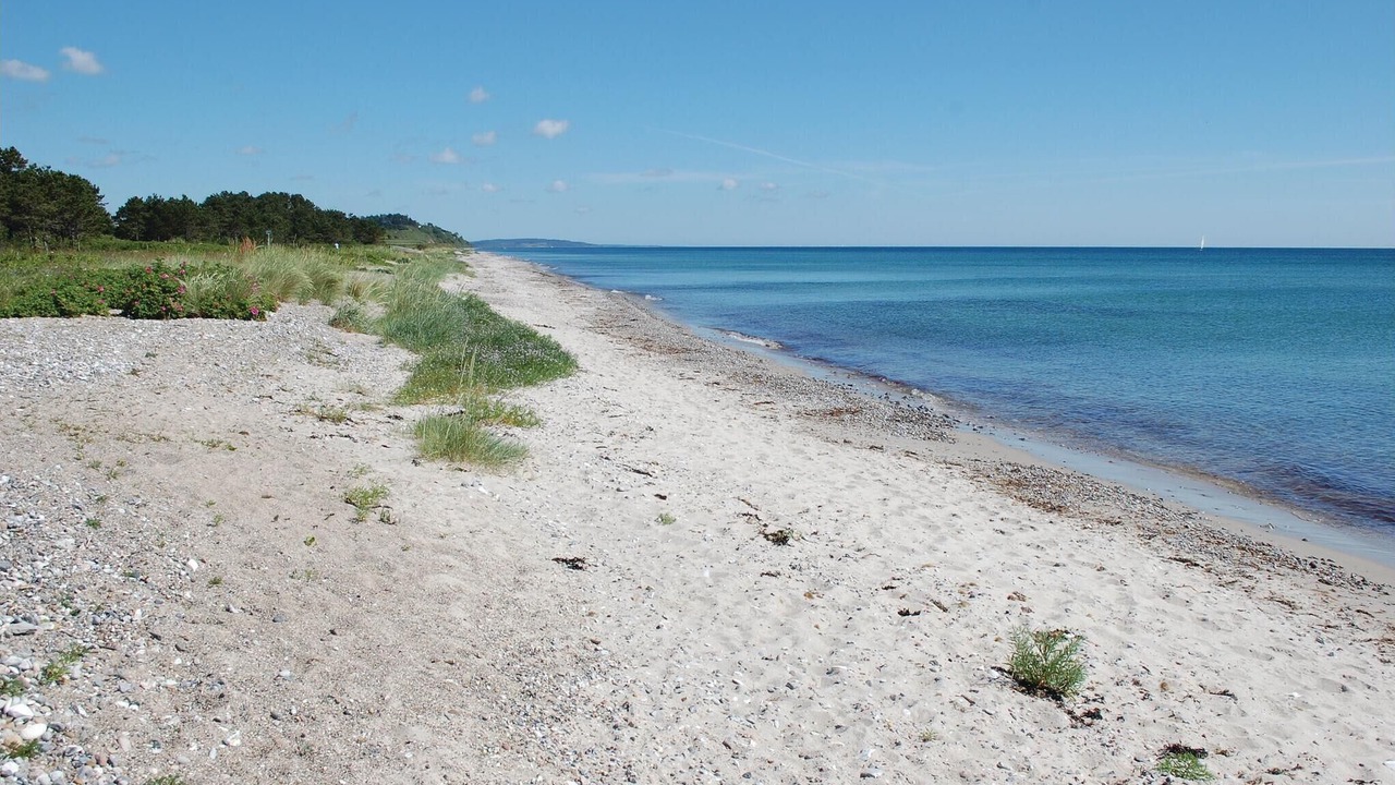Photo of Others in Elsegarde Strand