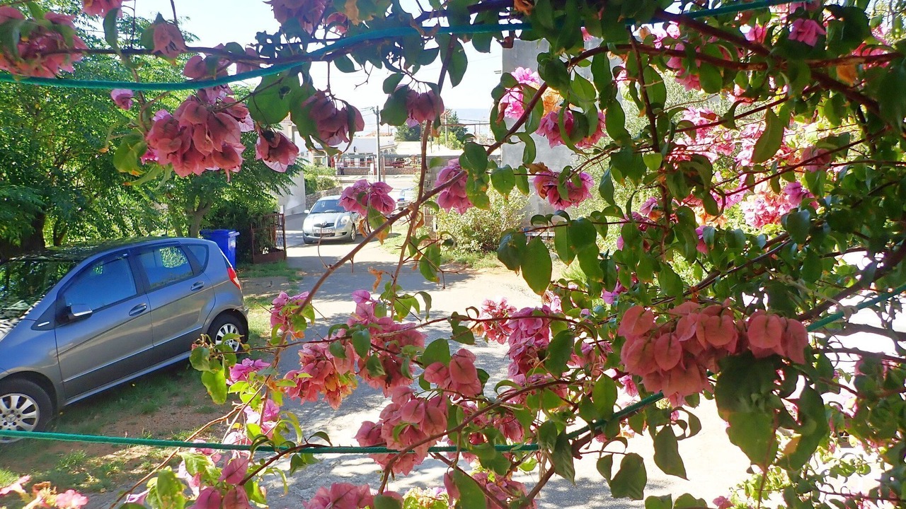 Photo of Outdoor in Starigrad