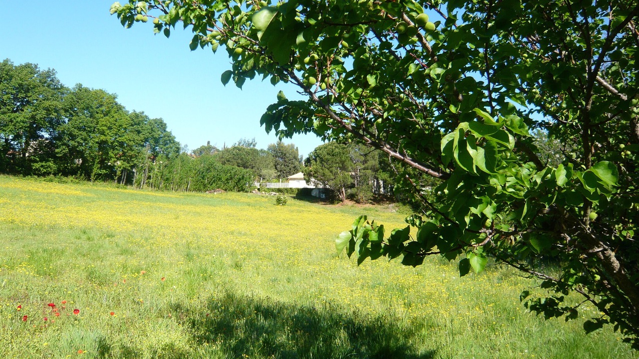 Photo of Outdoor in Montauriol