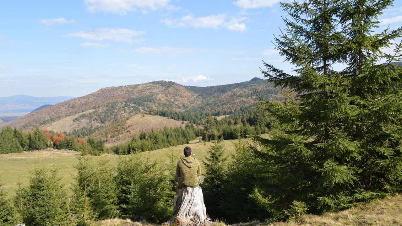 Photo of Outdoor in Eden