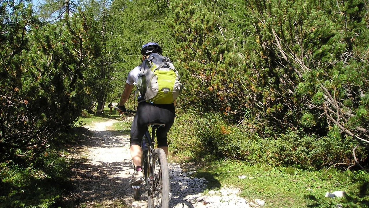 Photo of Others in Eden