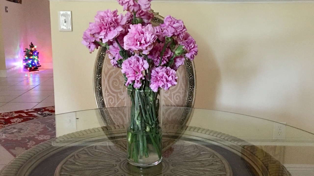 Photo of Others in Orlando