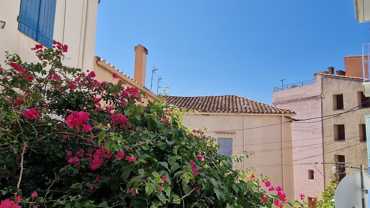 Photo of Outdoor in Banyuls-sur-Mer