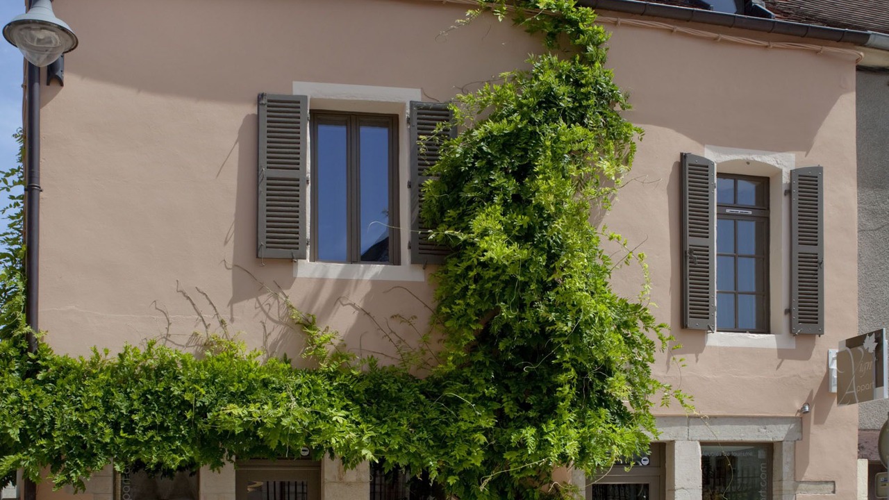 Photo of Outdoor in Nuits-Saint-Georges