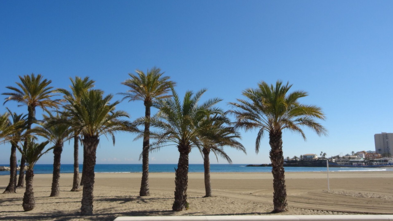 Photo of Others in Denia