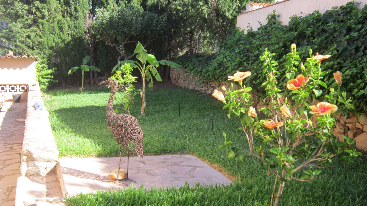 Photo of Outdoor in Denia