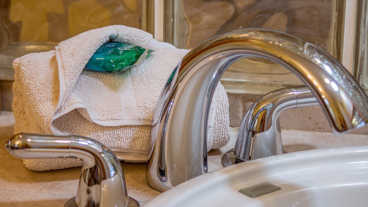 Photo of Others in Friday Harbor