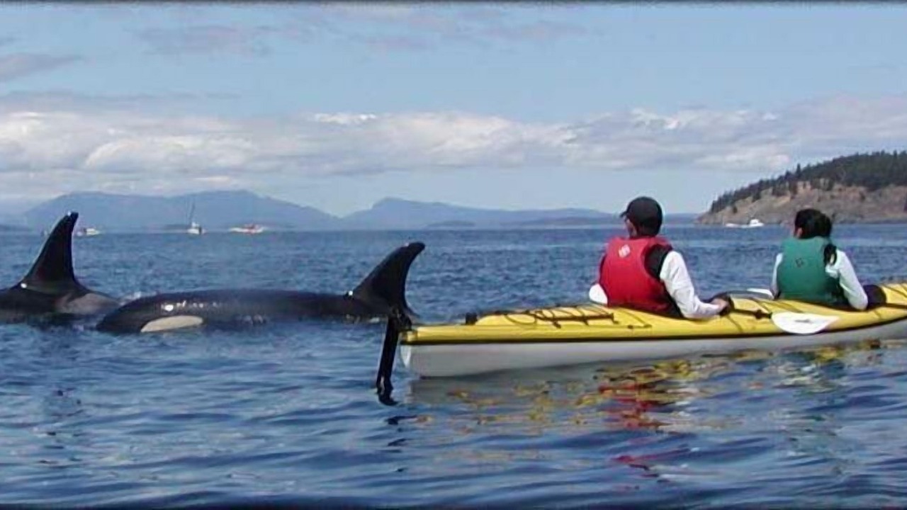 Photo of Others in Friday Harbor