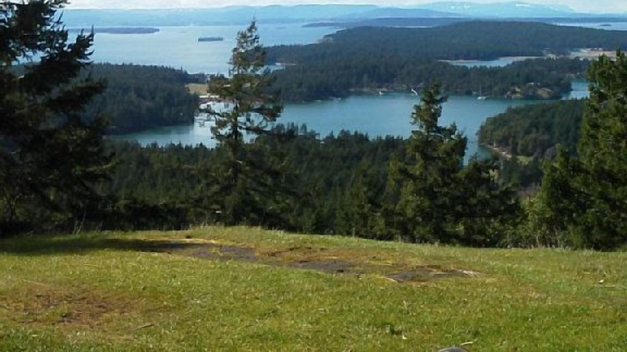 Photo of Others in Friday Harbor