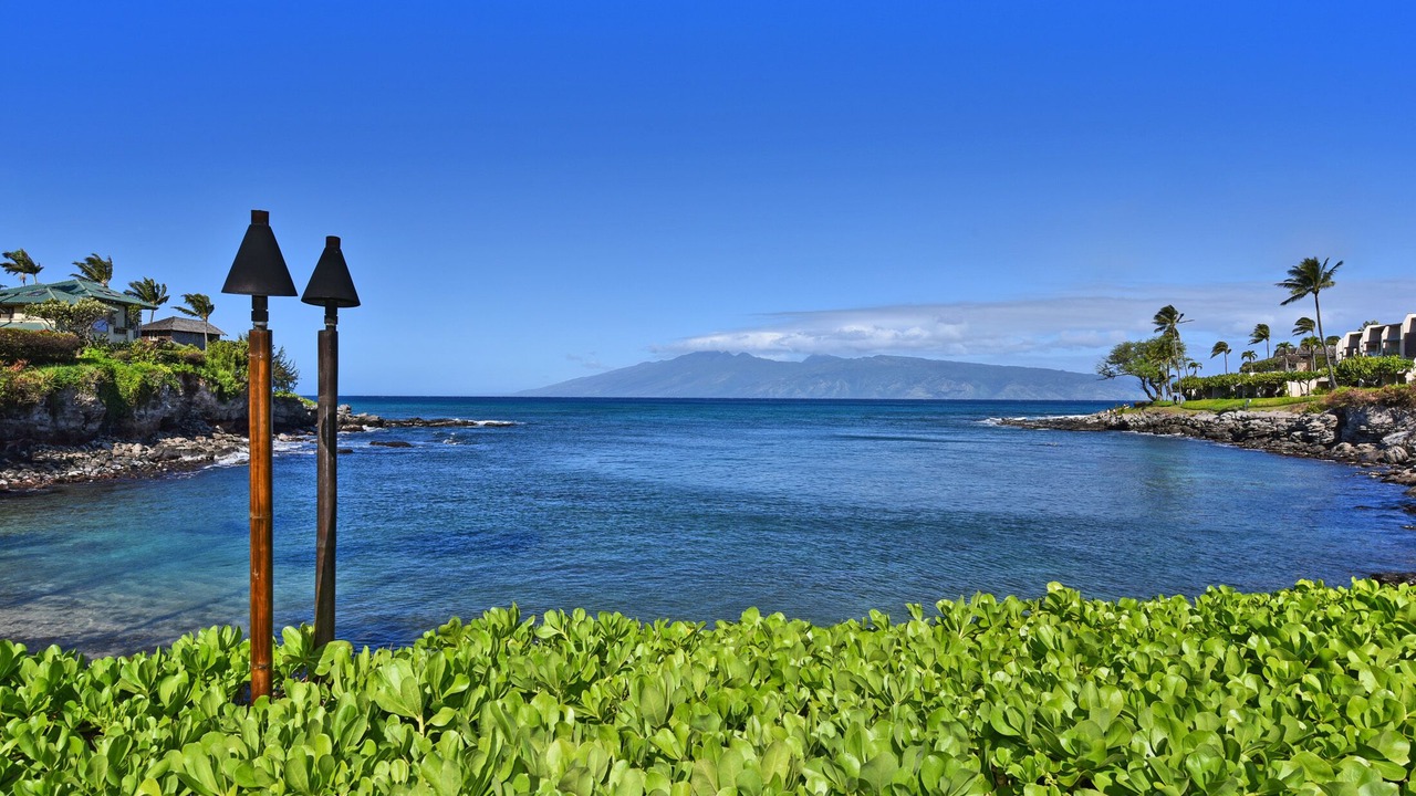 Photo of Others in Napili