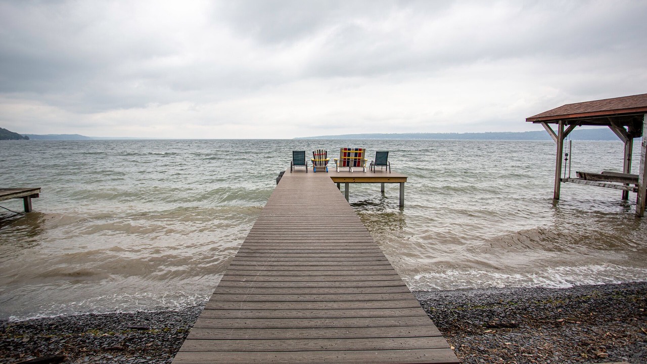 Photo of Others in Sheldrake