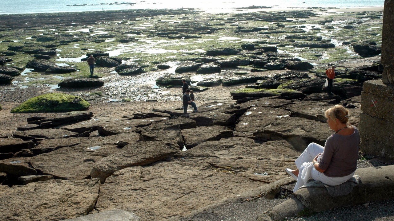Photo of Others in Bleriot-Plage