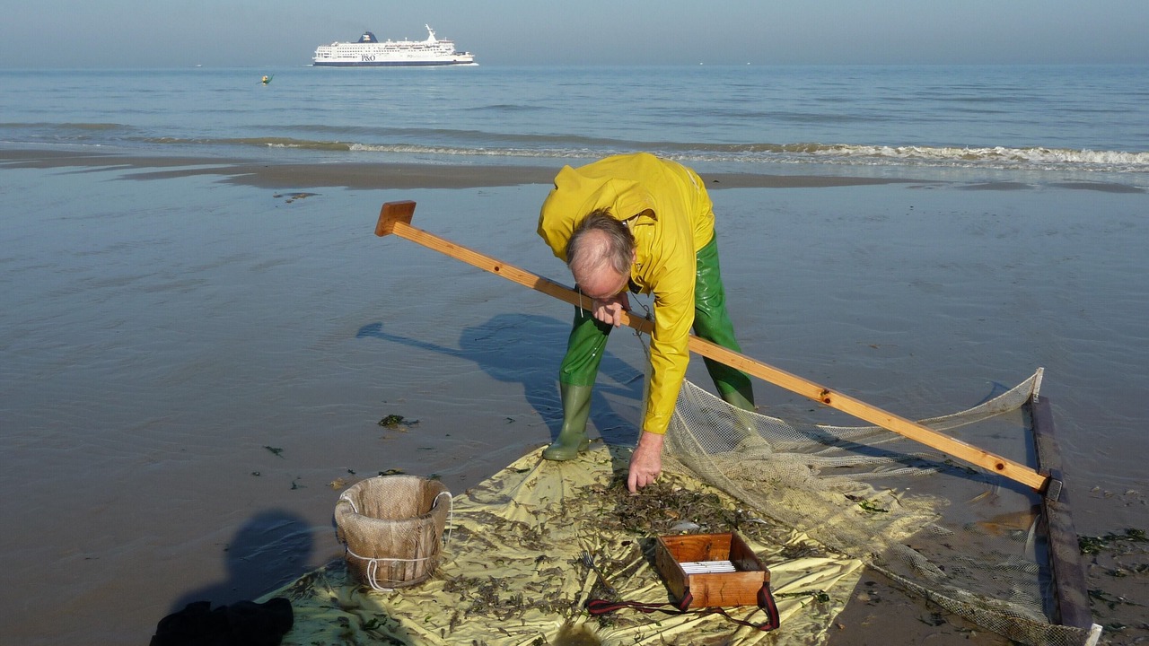 Photo of Others in Bleriot-Plage