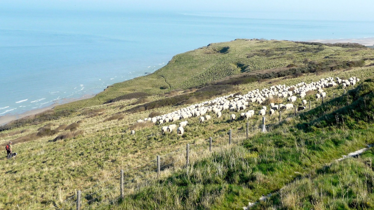 Photo of Outdoor in Bleriot-Plage