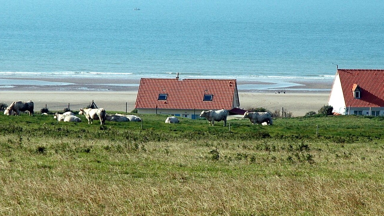 Photo of Others in Bleriot-Plage