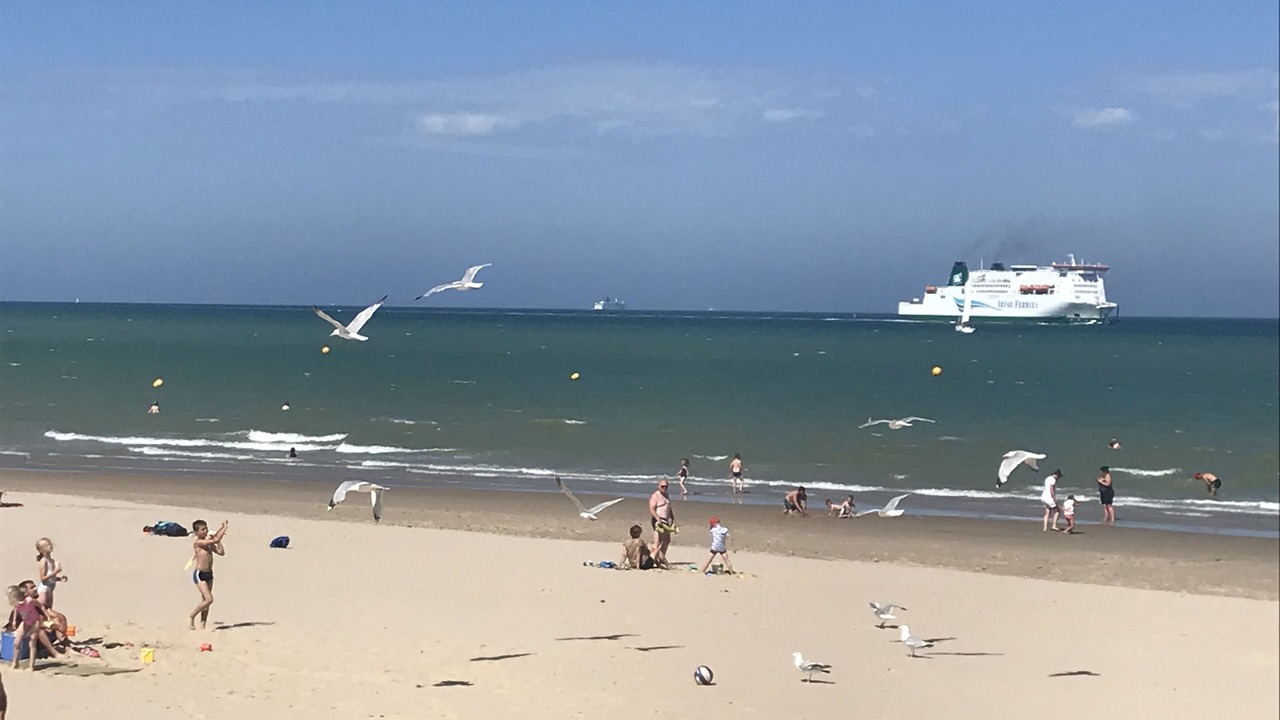 Photo of Others in Bleriot-Plage