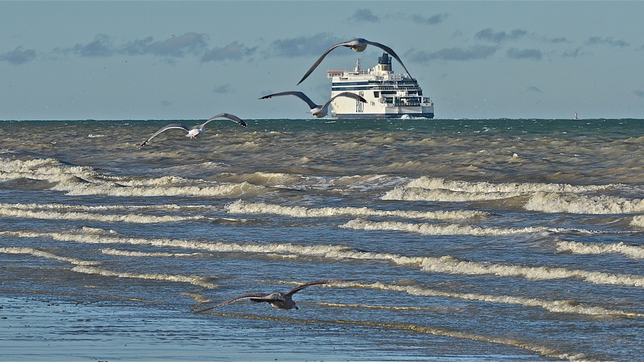 Photo of Others in Bleriot-Plage