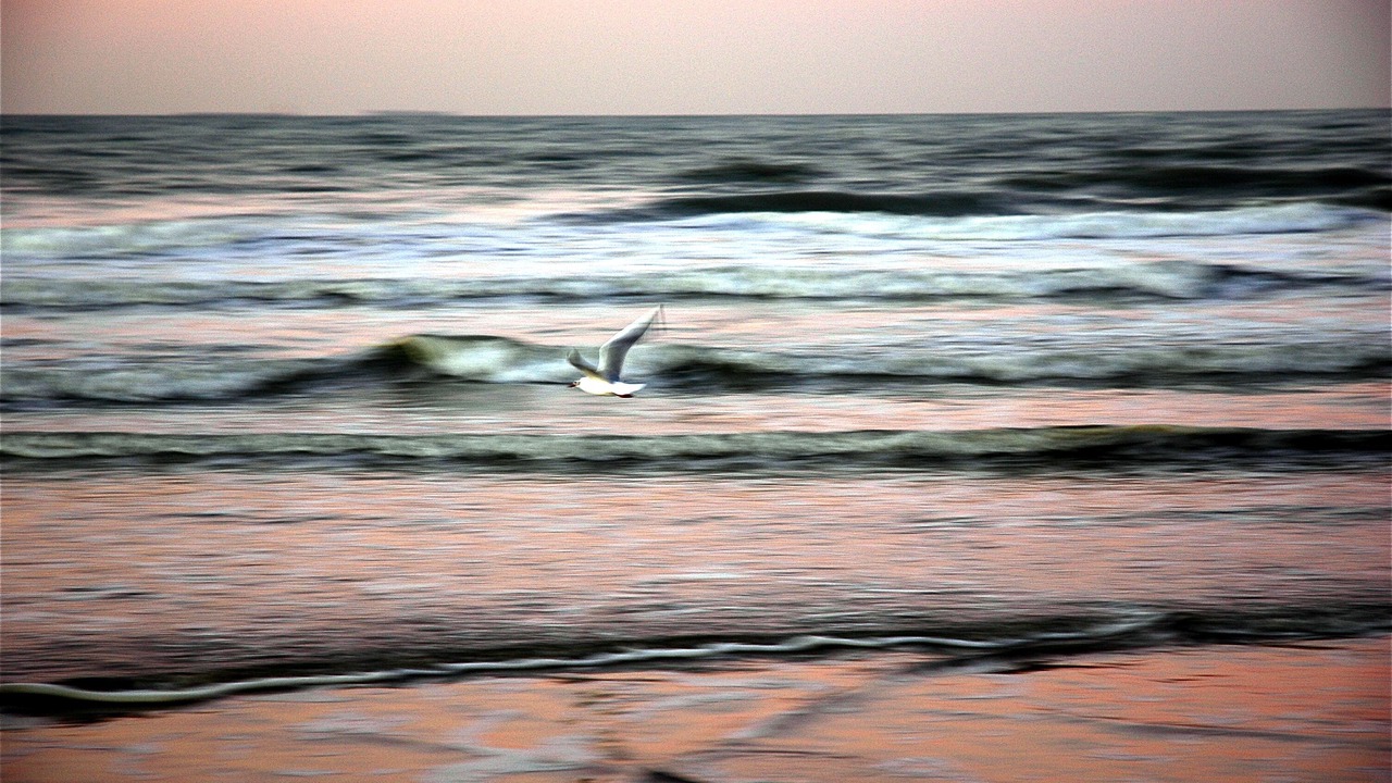 Photo of Others in Bleriot-Plage