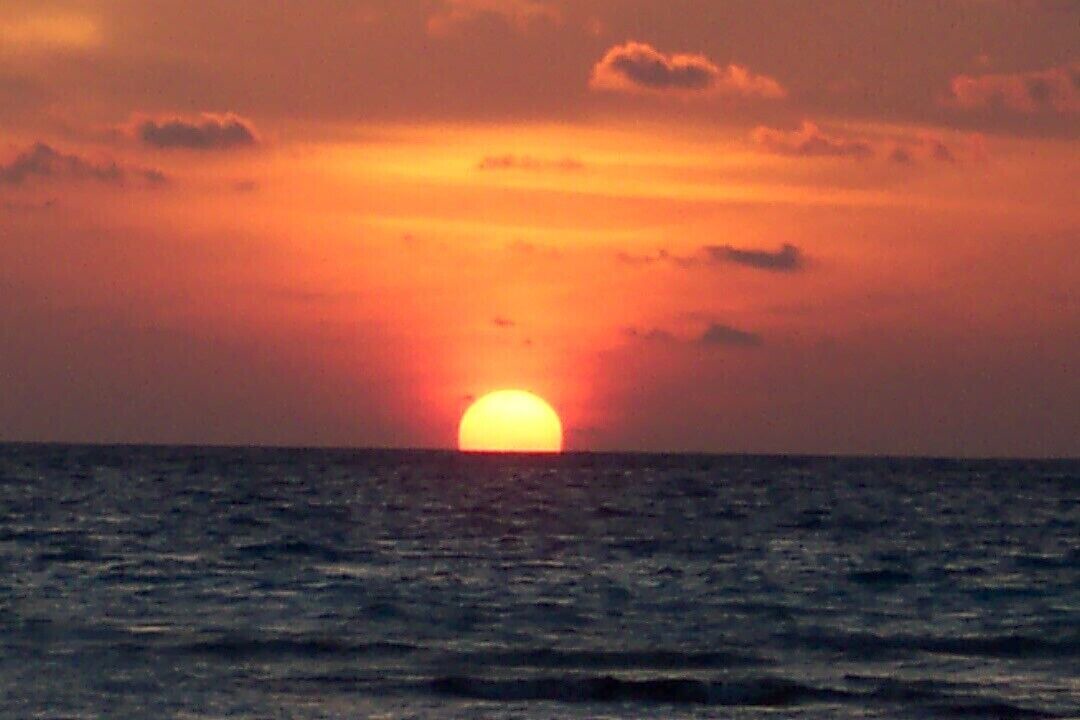 Photo of Others in La Florida