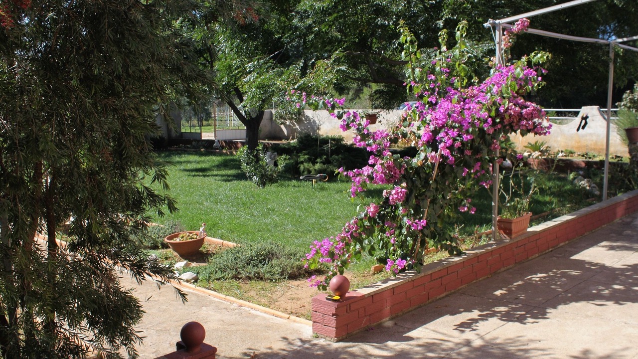 Photo of Outdoor in Privlaka