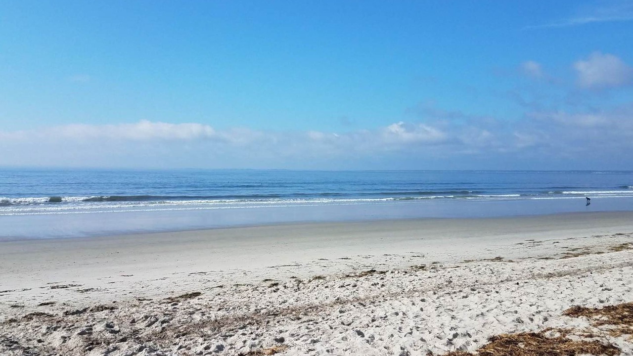 Photo of Others in Scarborough