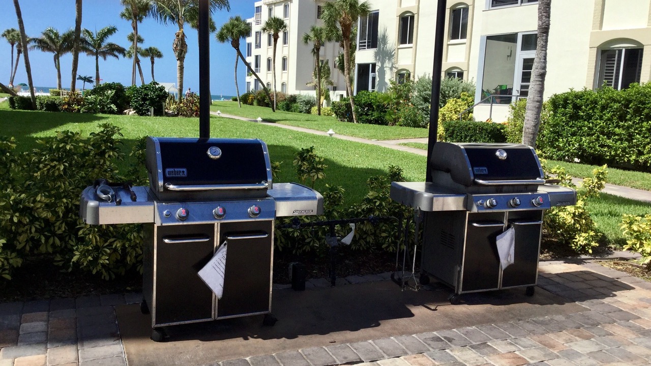 Photo of Others in Siesta Key