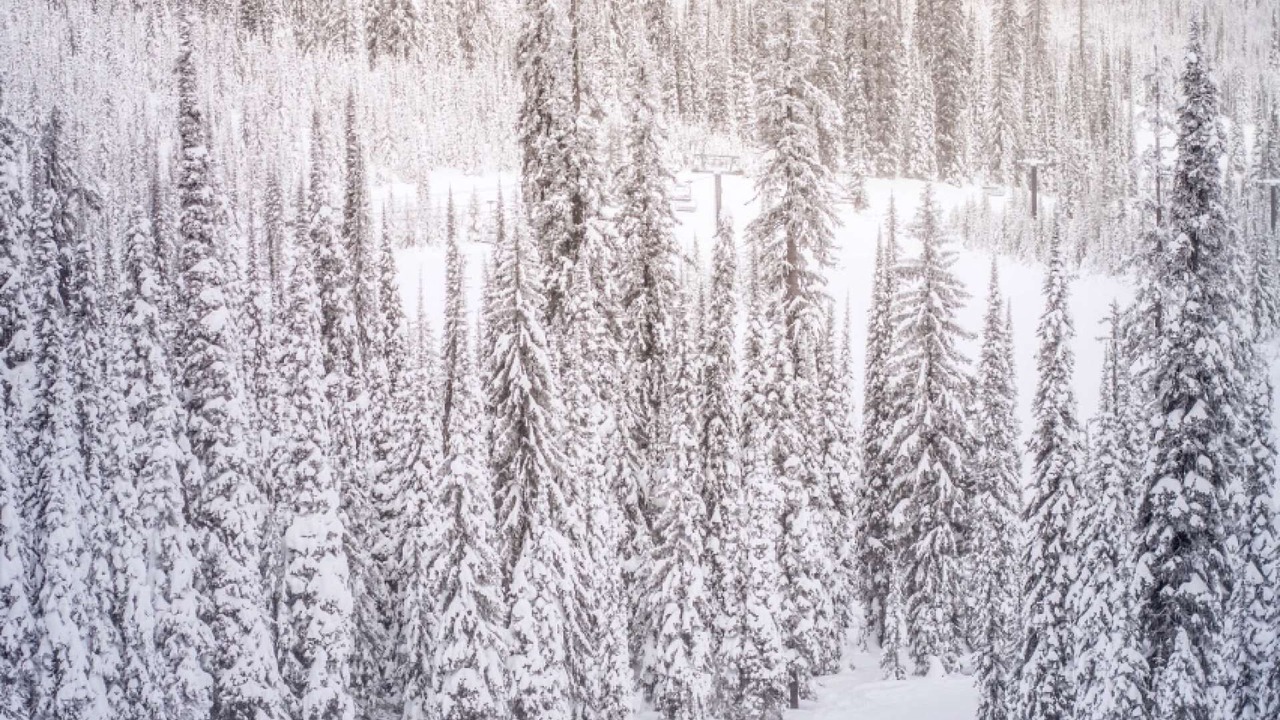 Photo of Others in Snowmass Village