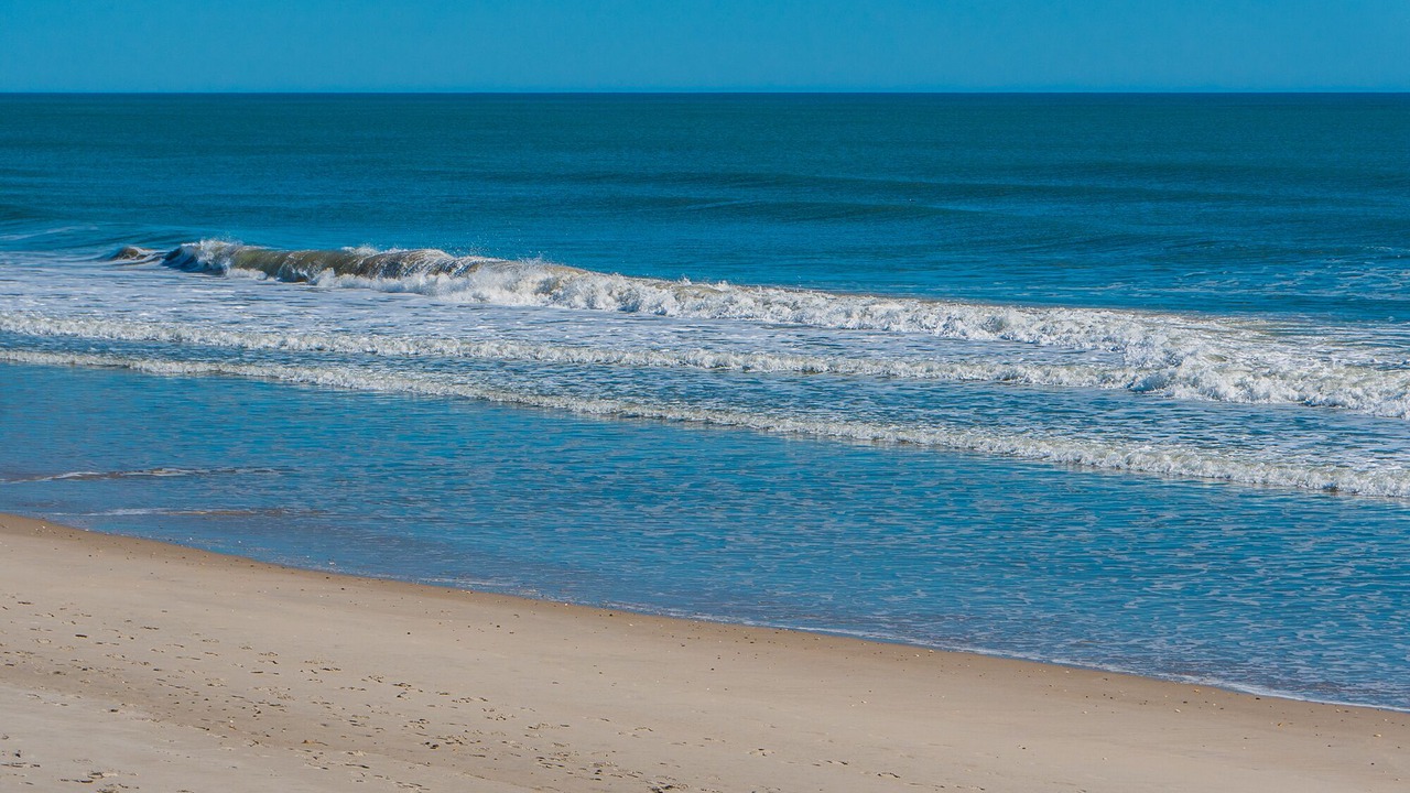 Photo of Others in Surf City