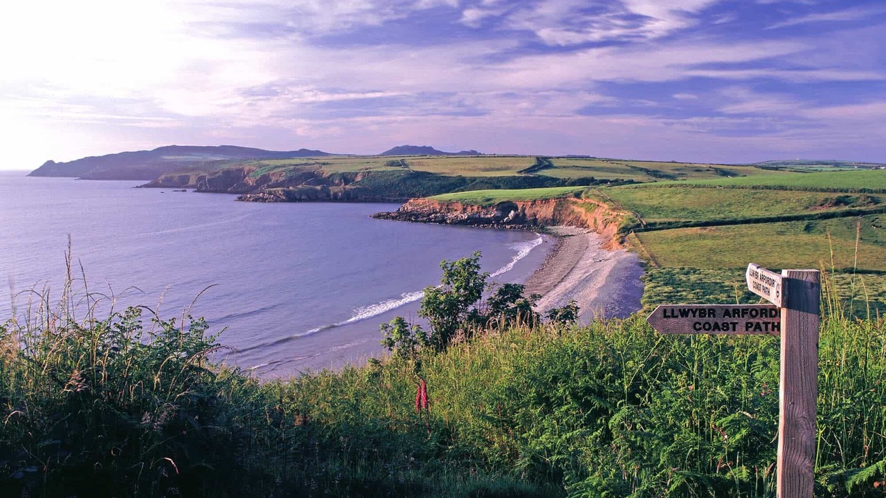 Photo of Others in Tenby