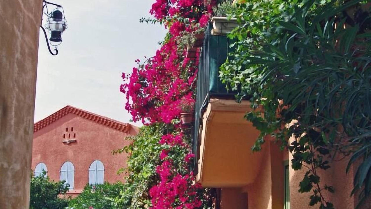 Photo of Outdoor in Collioure