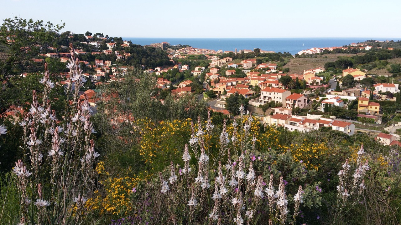 Photo of Outdoor in Collioure