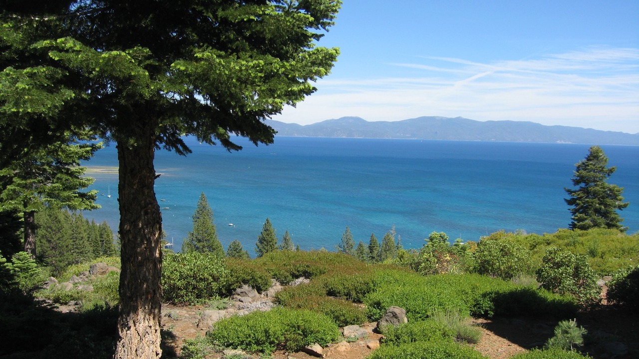 Photo of Outdoor in Tahoe City