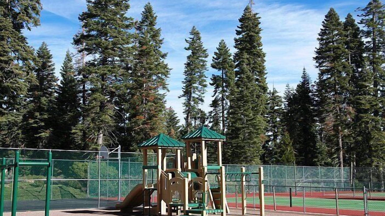 Photo of Others in Tahoe City
