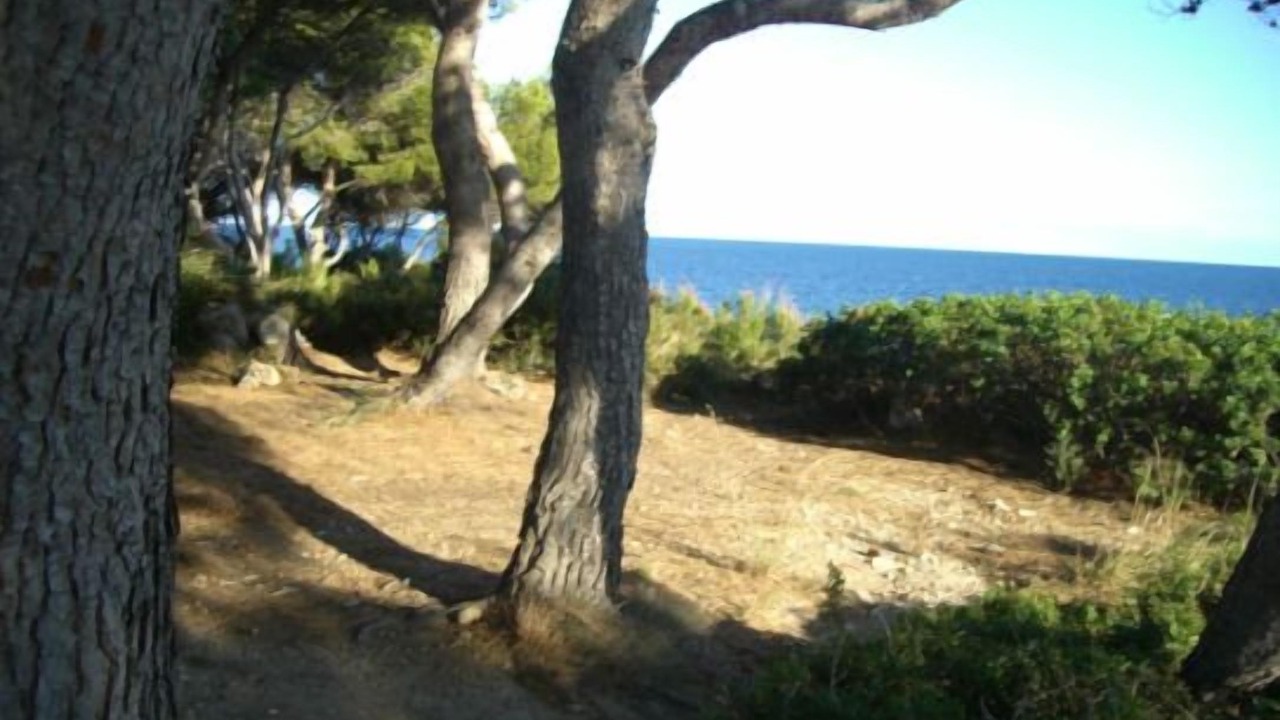 Photo of Outdoor in Calafat