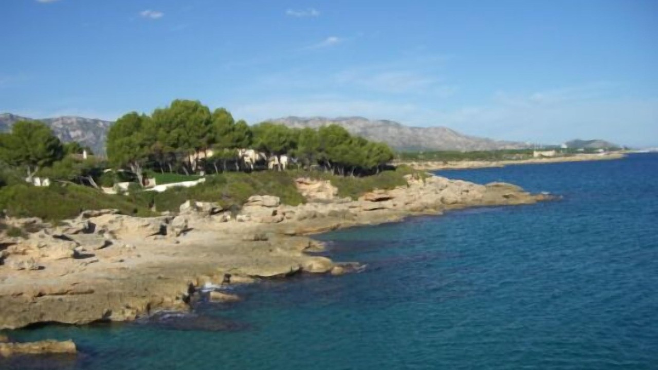 Photo of Others in Calafat