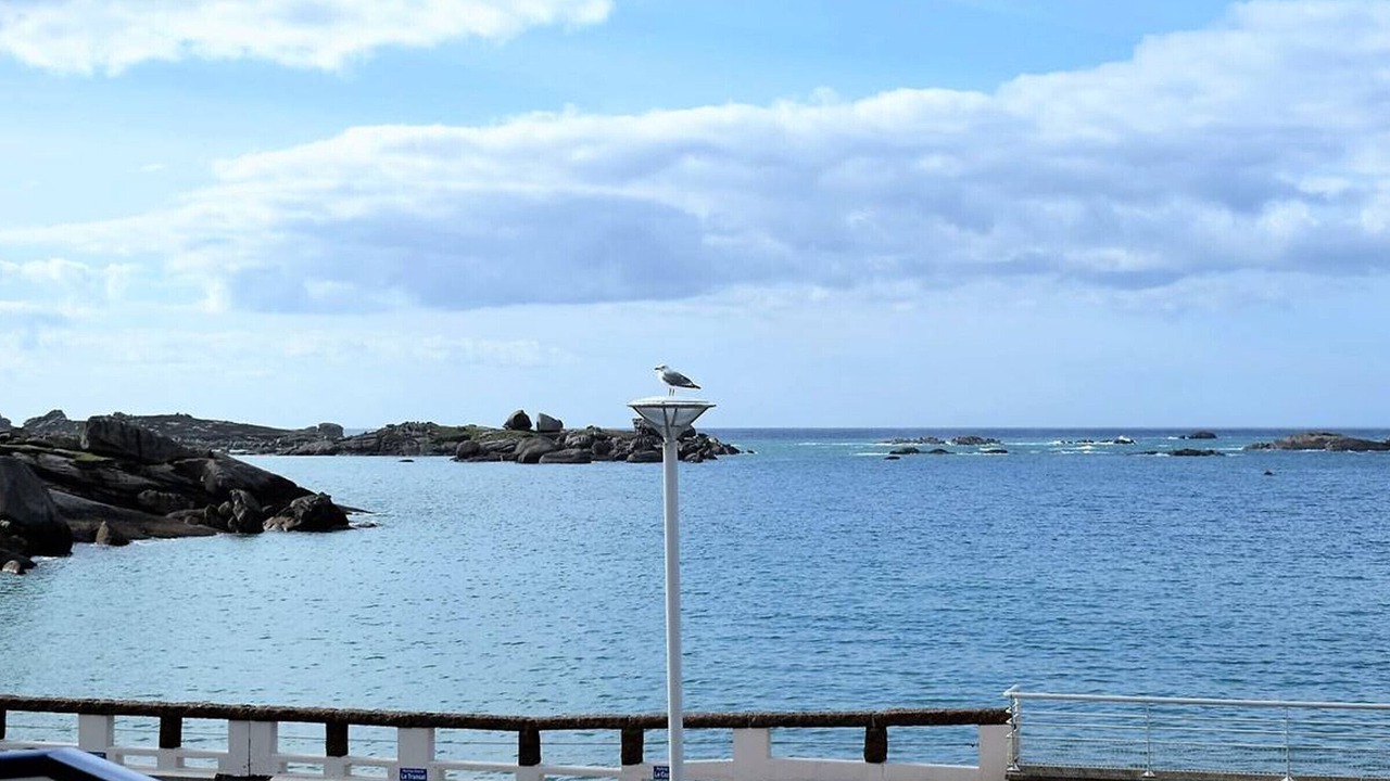 Photo of Others in Tregastel