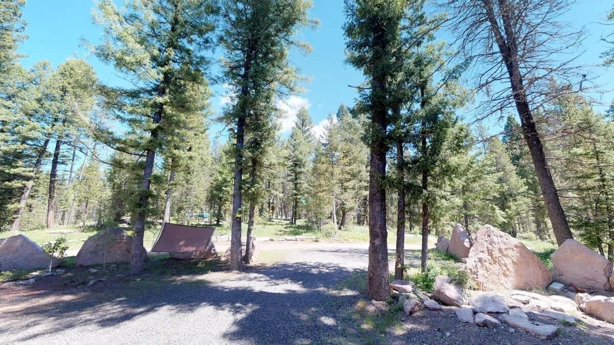 Photo of Others in Island Park