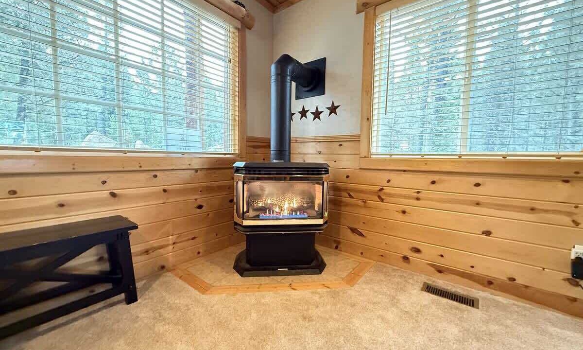 Photo of Livingroom in Island Park