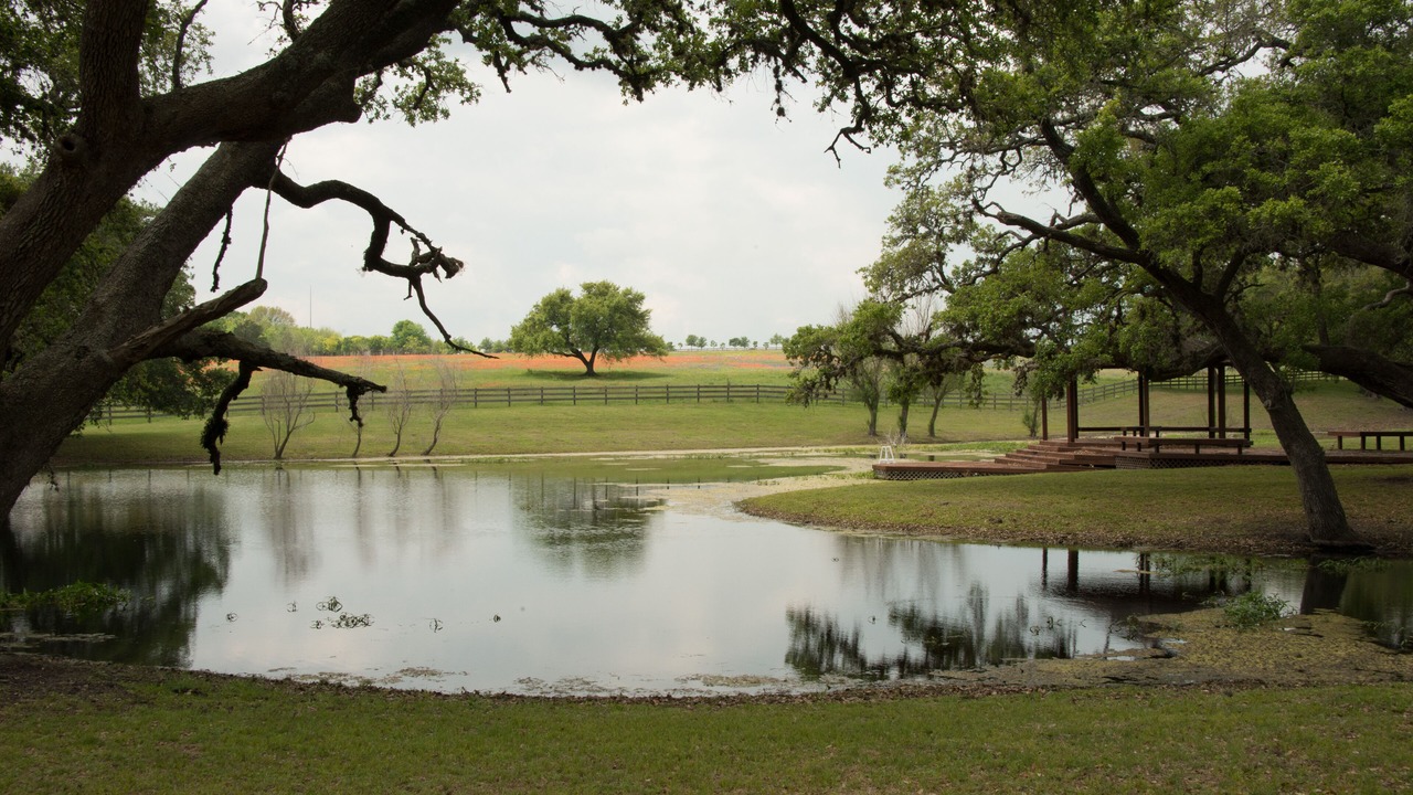 Photo of Others in Brenham