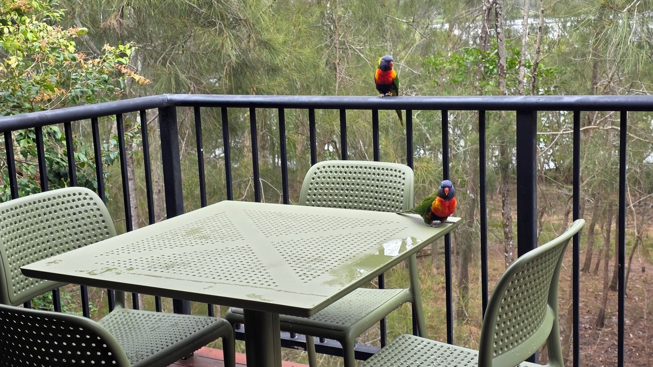 Photo of Outdoor in Tewantin