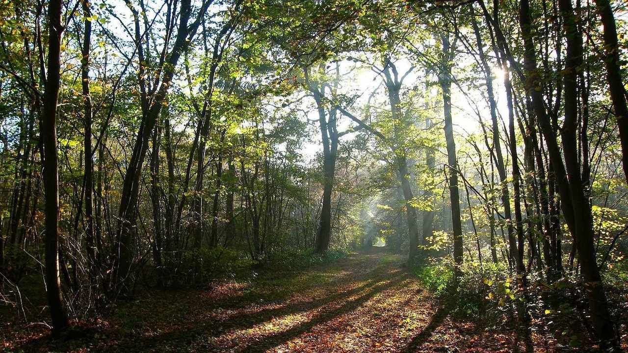 Photo of Outdoor in Frepillon