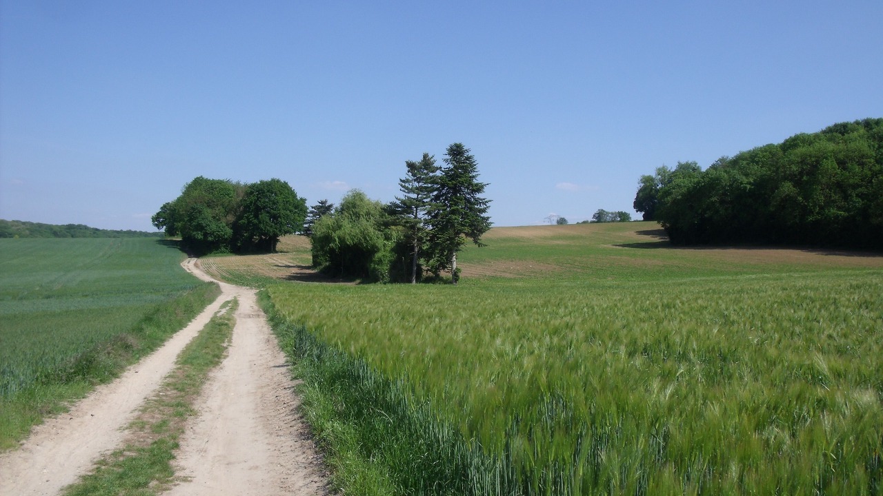 Photo of Outdoor in Frepillon