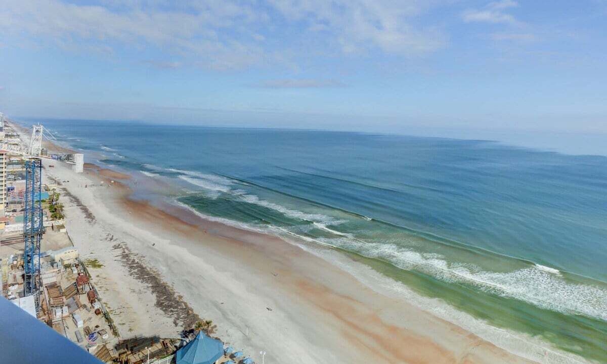 Photo of Others in Brush - Stewarts