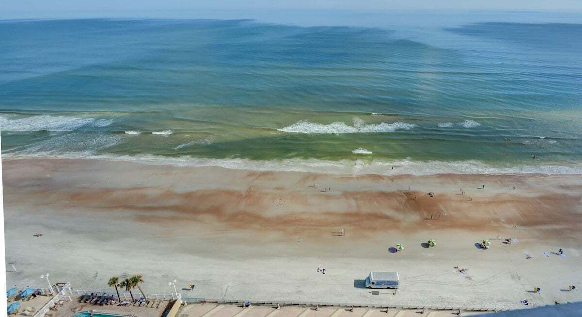 Photo of Others in Brush - Stewarts