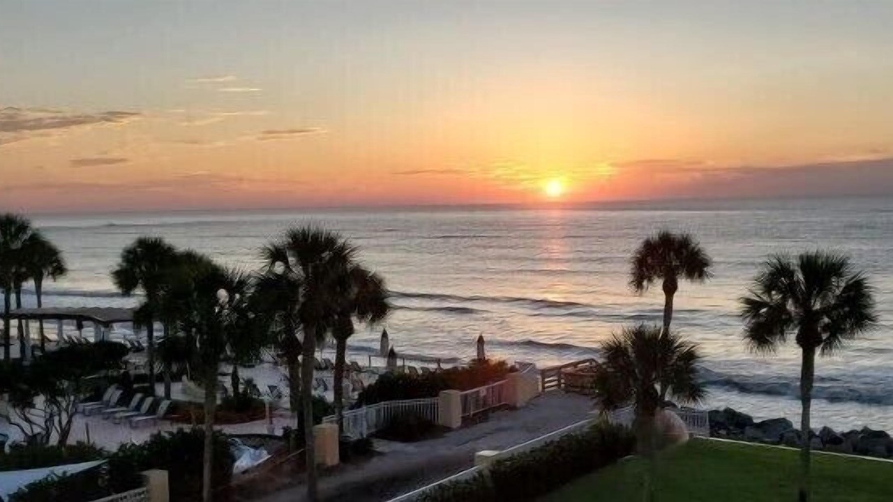 Photo of Others in Saint Simons Island
