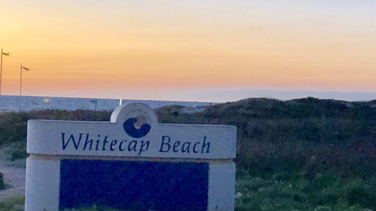 Photo of Others in Corpus Christi
