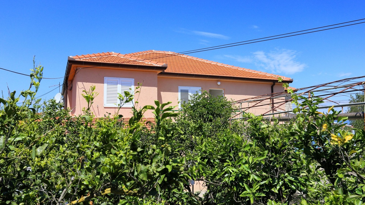 Photo of Outdoor in Janjina
