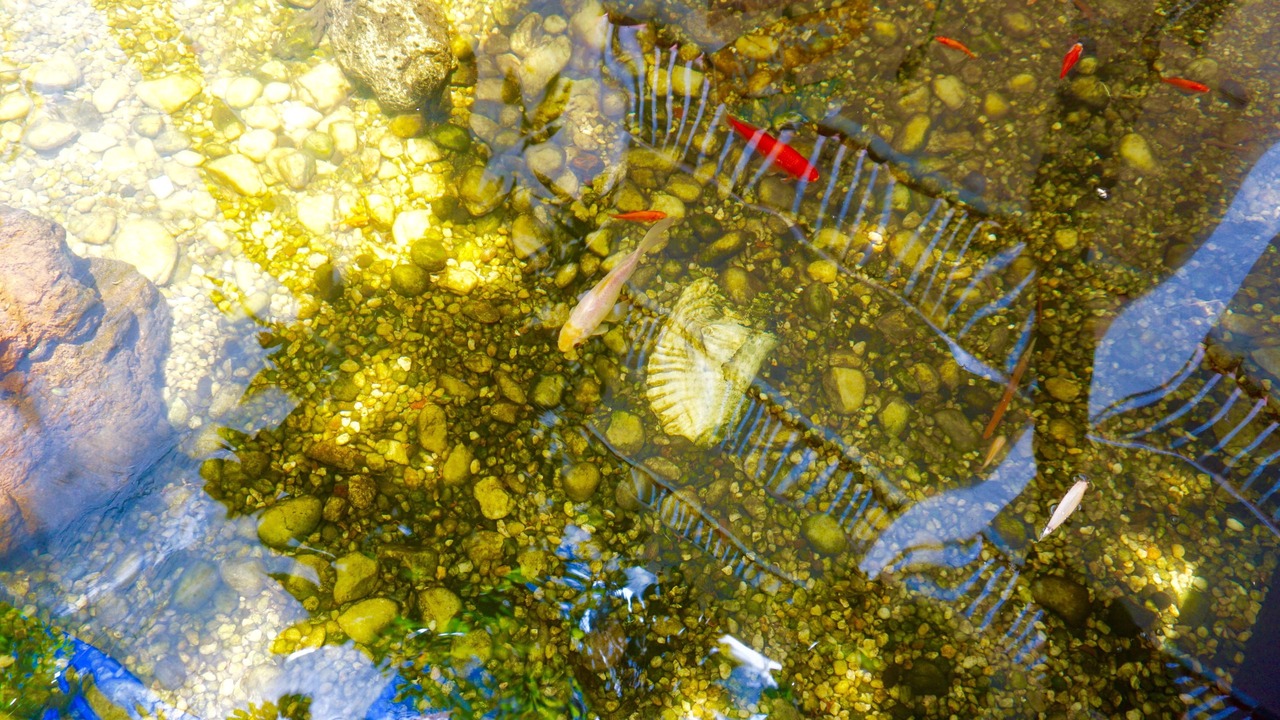 Photo of Outdoor in Pompano Beach