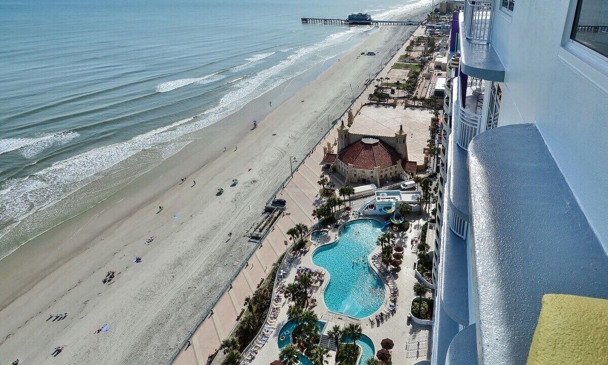 Photo of Others in Brush - Stewarts