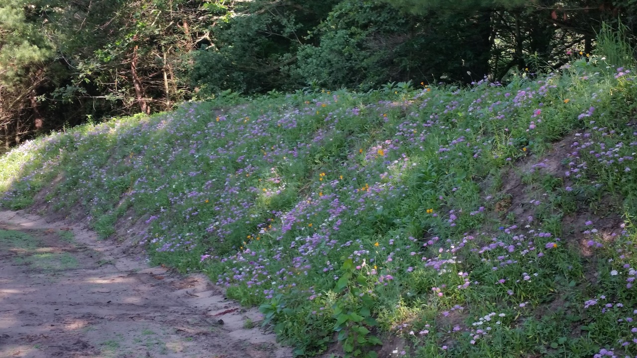Photo of Outdoor in Norton Shores